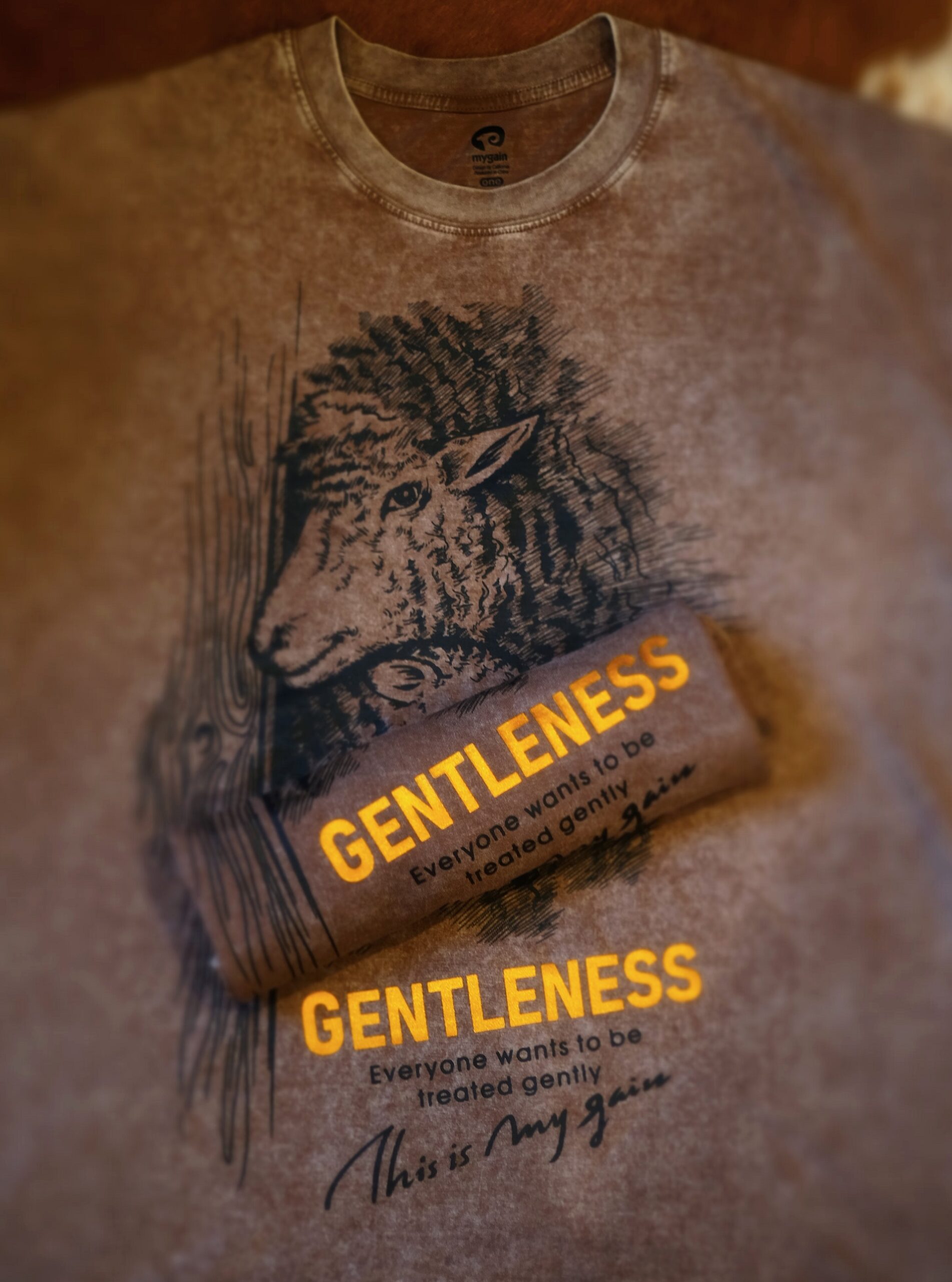 Gentleness - Image 3